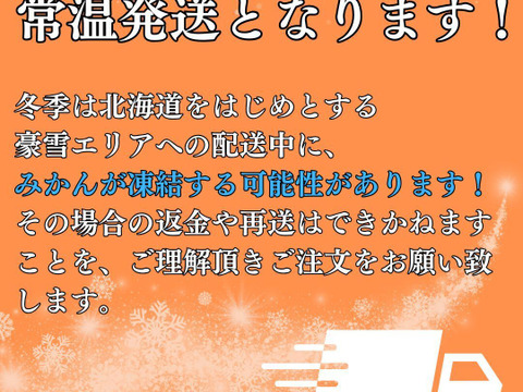 超訳ありみかん 約2.5キロ箱込み 訳あり西浦みかん わけありみかん サイズ不揃い、皮に傷あり、皮厚