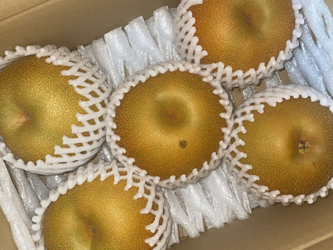 甘みと酸味が最高！豊水梨(家庭用）約2.5kg(5〜8玉)