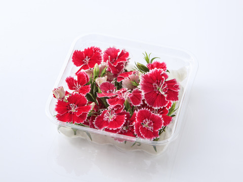 美食の演出！エディブルフラワー『SANOKA』ナデシコ ピコティ 20輪入り 食用花 ケーキ スイーツ デコレーションにも！