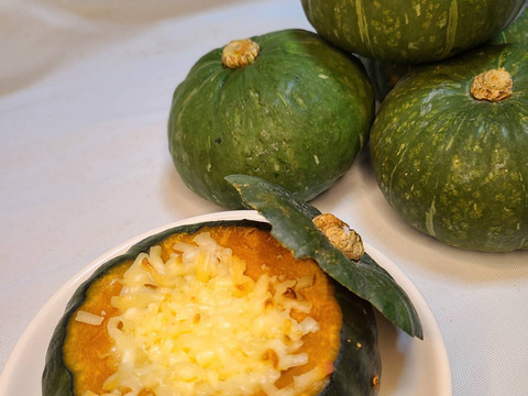 楽天市場】訳あり（かぼちゃ｜野菜・きのこ）：食品の通販
