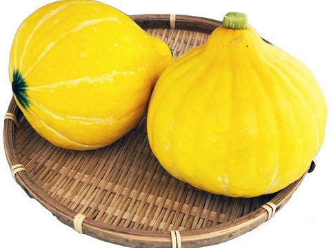 【栽培期間農薬・化学肥料不使用（自然農法）】食感が楽しくサラダで美味しいサラダカボチャ コリンキー2㎏