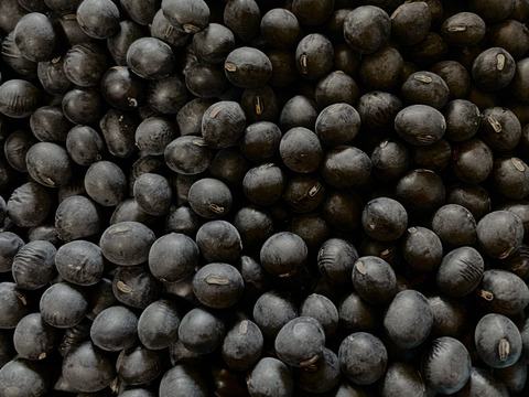 黒く艶めく甘い黒豆煮に♪A級品とB級品セット！2025年丹波篠山黒大豆 A級500g＋B級250g / レシピ付き