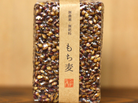 【無農薬・無肥料 自然栽培 天日干し】生命力溢れる もち麦(ダイシモチ)