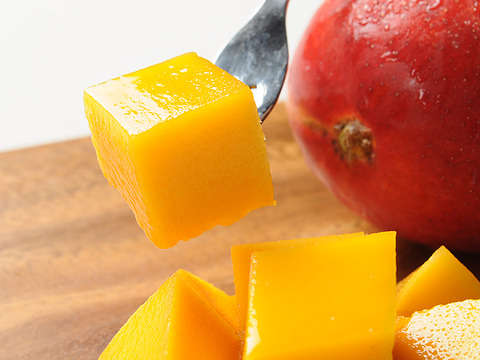 南国鹿児島産　完熟アップルマンゴー（約500g）＆　生ライチ（6個）　お試しセット