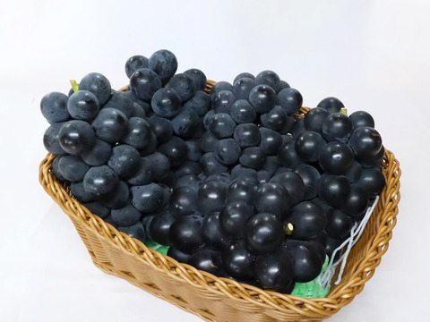 ぶどうの王様【本場山梨県産】　種無し巨峰2kg(4～5房)