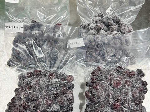 ブラックベリー冷凍真空パック500g
