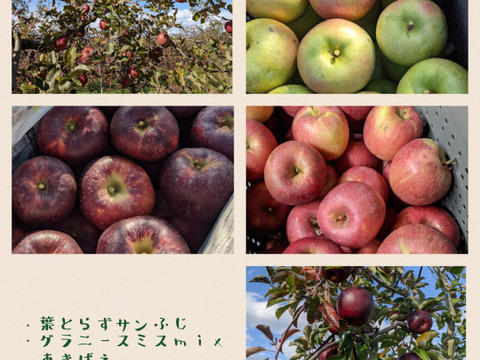 葉とらず栽培のりんごで絞りました。りんごジュース３種類の甘み【飲み比べ】セット