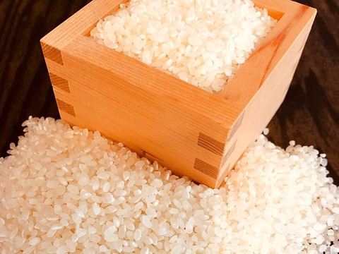 【令和5年産 】特別栽培米 <キヌヒカリ >10kg