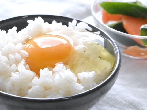 【お米!特得セット!】もっちりコシヒカリ5kg と やみつきイナポン10個セット!