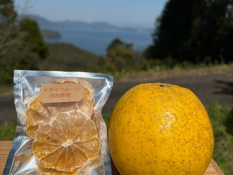 ドライフルーツ（河内晩柑）1パック（10g）×6個　砂糖不使用　河内晩柑は栽培期間中に農薬・化学肥料不使用