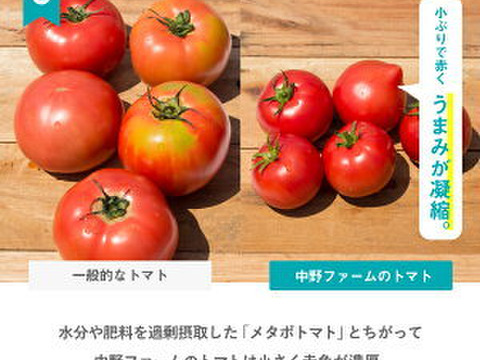 【夏ギフト】高級トマトジュース無添加180ml×5本 世代を問わず喜ばれる贈り物