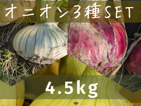 【農薬不使用】玉ねぎ3種セット（レッド、ホワイト、イエロー）（4.5kg）