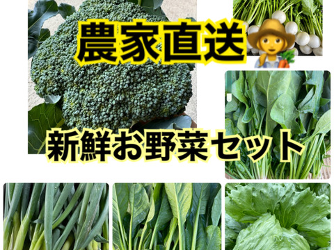 農家直送✨朝採れ新鮮野菜セット お得な詰め合わせ（ほうれん草 小松菜 レタス 九条ねぎ 小かぶ ブロッコリー）