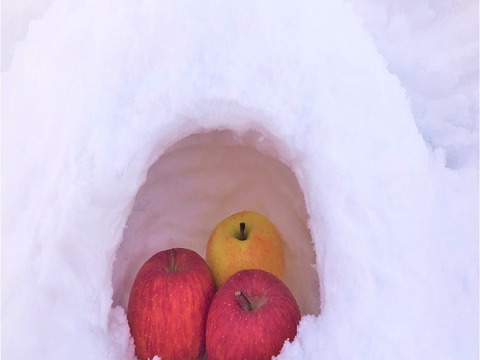 蔵出し春りんご　葉とらずサンふじ　小玉　約3キロ　13個前後入　農家直送青森りんご