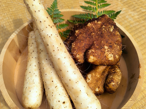 【使い切りセット】ネバリスター1kg＆短形自然薯1kg｜粘りの違いを楽しむ