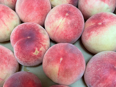 【 🍑お楽しみボックス🍑 】【 訳あり 】【 3000件突破‼️大人気‼️お試しに 】山形県天童産 桃 2.0k 【 果肉ジューシー 】さくらんぼとご一緒に！