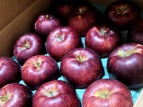 信州あづみ野から　「秋映（あきばえ）」家庭用　約５ｋｇ（10月）