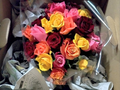 ご家庭用大特価バラのアソート