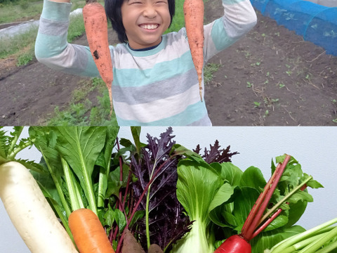 美味しい人参３kg🥕＆宮崎県産☆季節のお野菜セットM(8～9品程度)【未来をつくる笑み野菜】