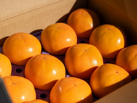 美味しさに自信あり！　甘柿「陽豊」10～1４個3.5kg以上　令和5年・６年・７年「太秋柿」茨城県知事賞を受賞した栽培技術と柿愛あふれる情熱で育てています。