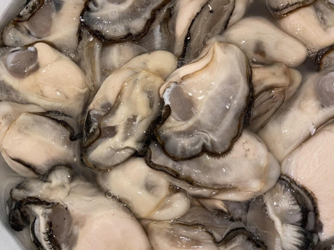 【生牡蠣】【生食用】【贈り物にも】
三重県産 浦村かき むき身500g＋殻付き20個 1箱セット（約2.7kg前後）（5～6人前）
直送 母の日 父の日【冬ギフト】【生で食べれる美味い牡蠣】