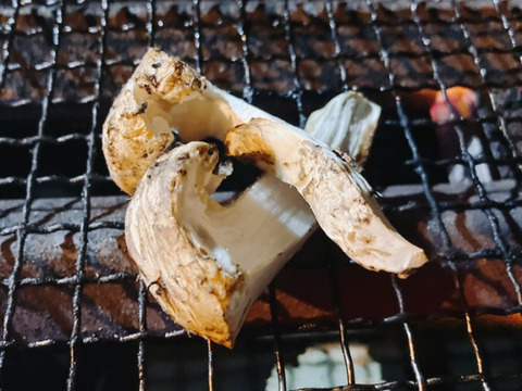 秋の味覚！香り高い【国産天然松茸】270~300g
