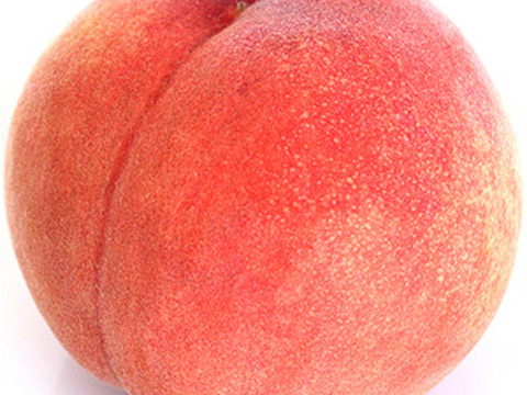 ８月２９日までの販売　「川中島」 １.２ｋｇ（５～６個位） ２箱