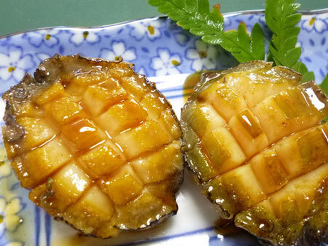 【冬ギフト】たみこの冬・数量限定　あわび中2杯、甘塩うに、牡蠣のこめ油漬け