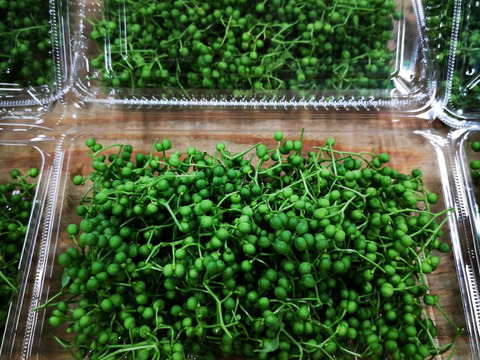 《天然》　山椒の実 100g