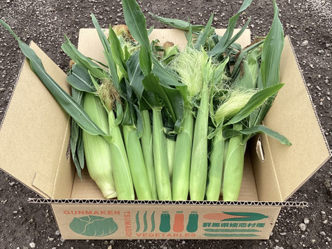 【夏ギフト】高糖度！2品種食べ比べ＆ベビーコーン　ドルチェ・恵味　とうもろこしセット4.5kg