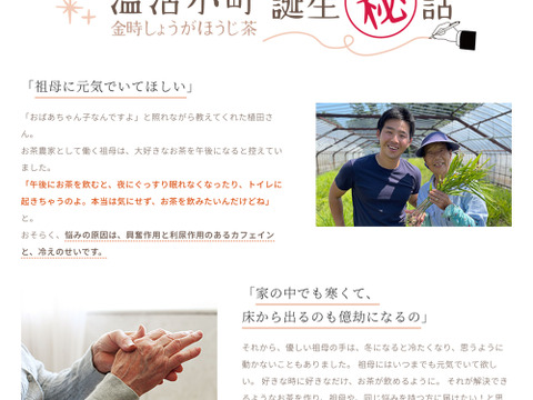 【冬ギフト】贈り物にお茶を！金時生姜でカラダも温活♫温活小町ギフト(金時生姜×和紅茶/金時生姜×ほうじ茶)　静岡県　牧之原