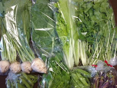 【自然栽培】高原の野菜セットS（7〜8品目）