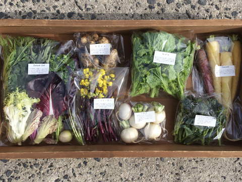 畑の今をお届け!SPIRA FARM BOX —旬の野菜セット—(6-8品目)★レシピ付き★