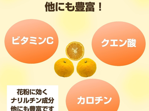 【12月下旬～1月下旬頃まで】紀伊路屋 和歌山有田産 柑橘じゃばら果実5kg