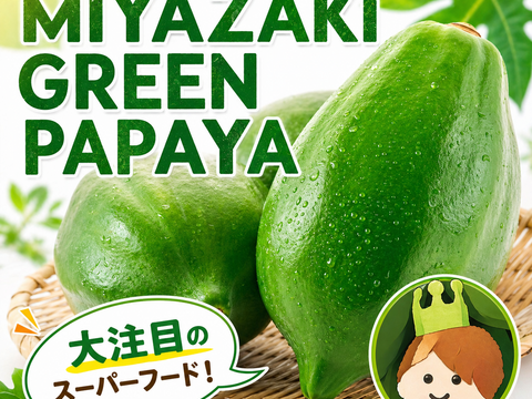 パパイア王子 宮崎パパイア酵素シロップ 酵素シロップ シロップ 250ml 希釈ドリンク 酵素 青パパイヤ スーパーフード パパイン酵素 日本産 ポリフェノール パパイヤ