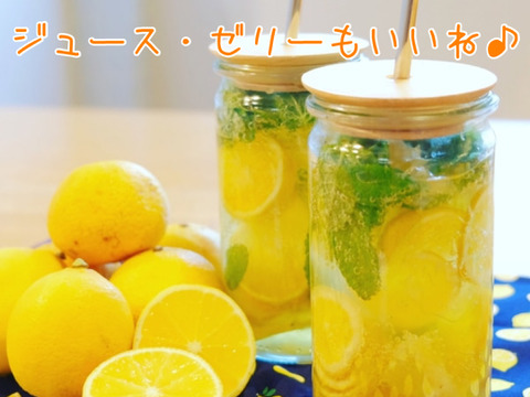 爽やかな香り〜♪ 黄金柑（ゴールデンオレンジ）たっぷりお得な3kg