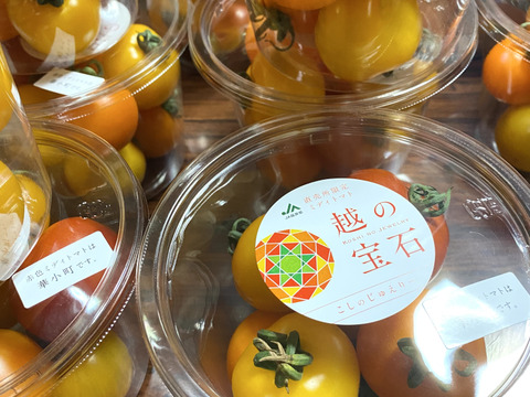 【少量限定】新鮮朝採り！越のジュエリー  カラフルフルーツトマト(2kg)