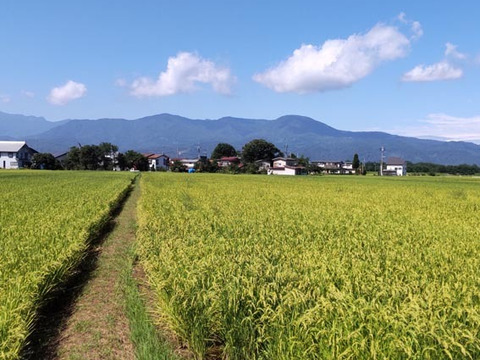 玄米　2.5Kg×2「Riki-Saku」コシヒカリ　真空パック　新潟県秋山農場産。農薬使用量は慣行栽培の9割減。安心してお召し上がりいただける玄米です。