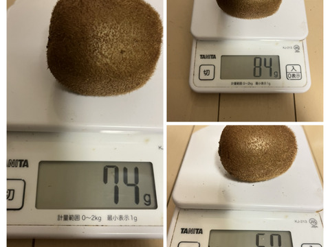 【ご好評につき、まもなく完売】国産キウイ　（ご家庭用7ｋｇ）