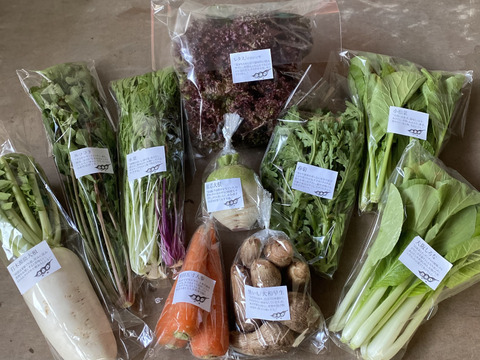 野菜セットＭサイズ（9〜10品）【農薬・化学肥料・動物性堆肥｜不使用】