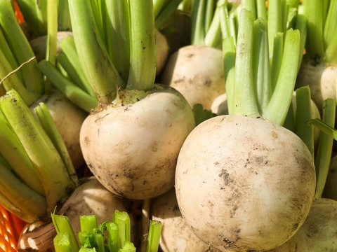 vege箱 野菜セット7種類 農薬・化学肥料不使用♪個包装