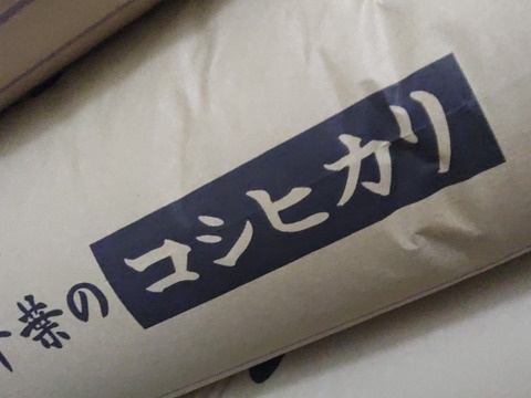 令和6年産『コシヒカリ』 玄米 20kg（千葉県産）：千葉県産のお