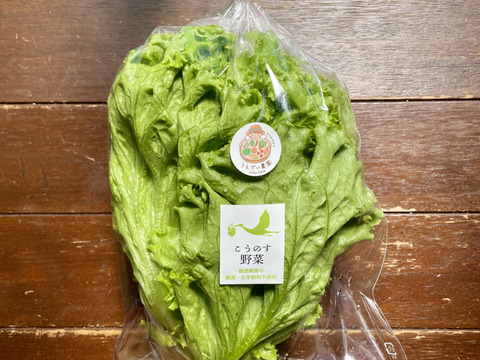 6月旬の野菜セット7種類 農薬・化学肥料不使用♪個包装