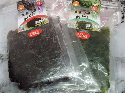 【夏ギフト】今だけ！旬のアオとクロ…『島のり』天然／生あおさ、生岩のり