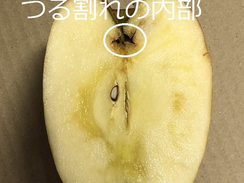 園主一押し!味をとことん突き詰めた青森りんご、“葉とらずサンふじ”　家庭用　約５kg　蜜入り期待大!　農家直送