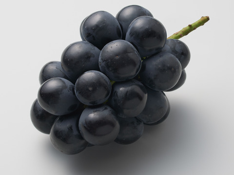 【食べ比べ】ASSORTED（9粒）