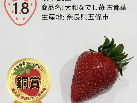 家庭用 古都華 ２箱（4パック）訳あり　セット　【母の日ギフト】奈良県　橋本農園　ことか　270g×4パック　いちご　苺