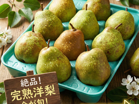 家庭用　ラ・フランス　2.5kg