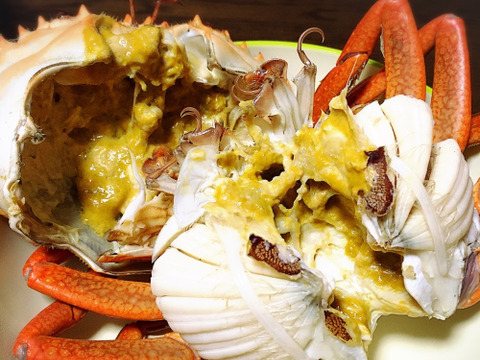 【謹製】ノコギリガザミ/ドウマンガニ/エガニ/800～900ｇ【オス】【秋は旨味抜群】【吟醸蒸し】【冷蔵】【特特大】