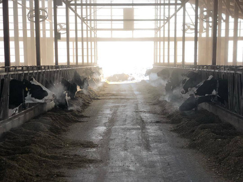 【北海道十勝鹿追町からお届け】
牧場てづくり乳製品セット　『クローバー』
